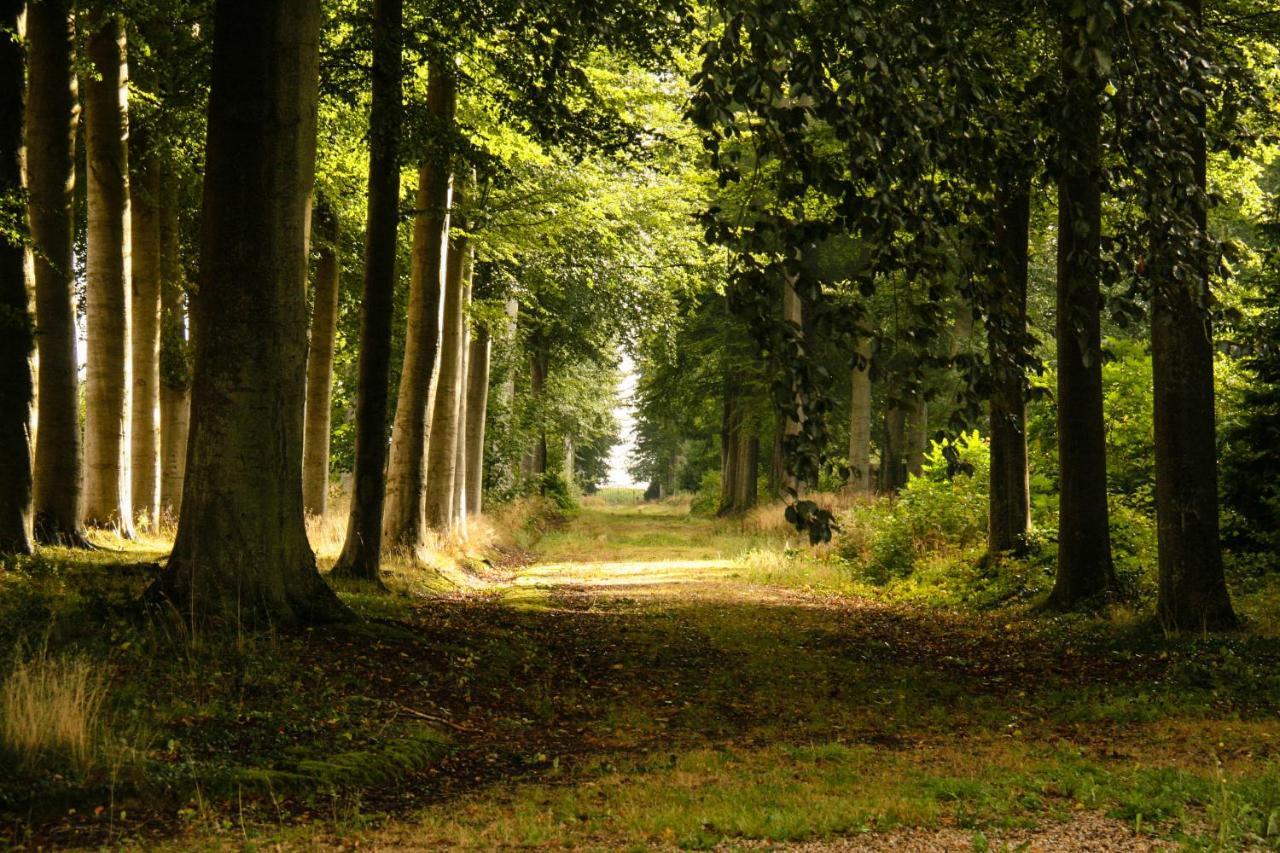 Les Ecuries Du Chateau De Brumare Brestot Esterno foto